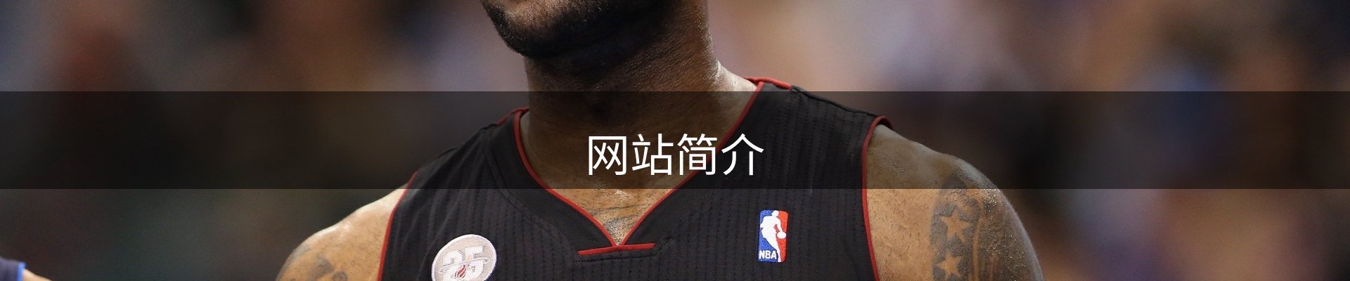 网站简介